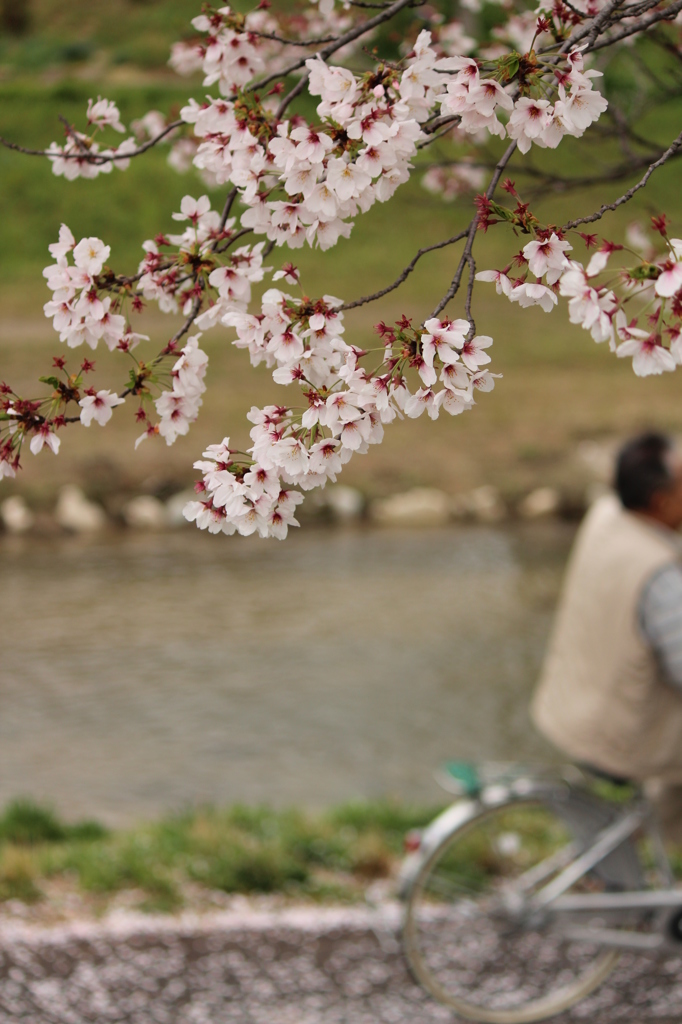シルバーの自転車
