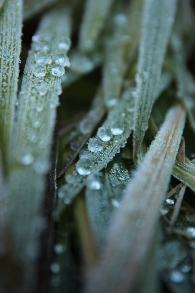 しずかでつめたい