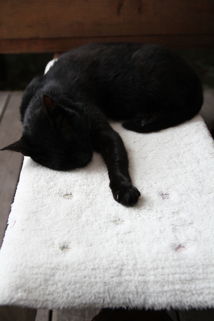 でもおかあさんにあげる。