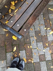 あしもと あしもと