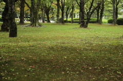 幹