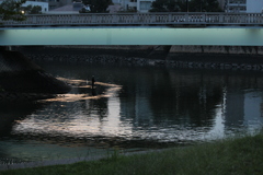 夜の釣り