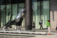 銀の猫