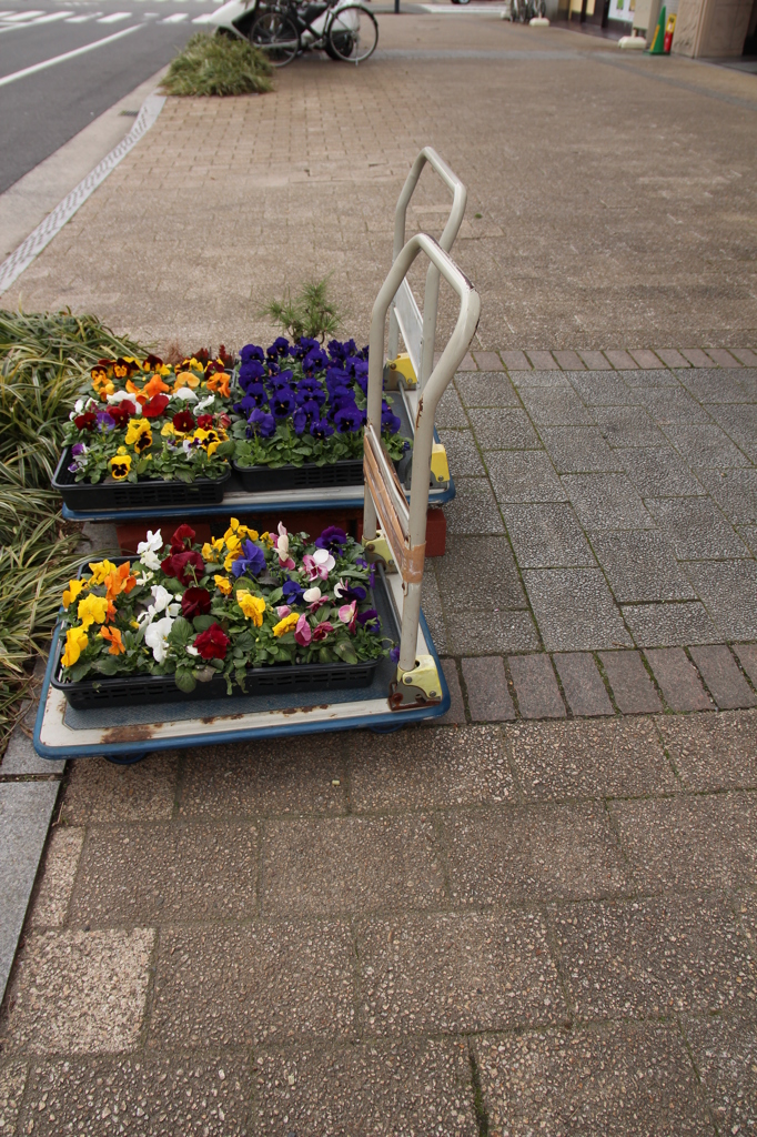 お花屋さんの前