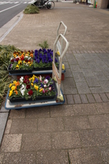 お花屋さんの前