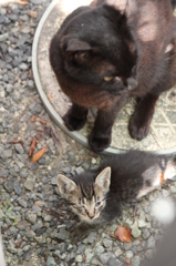 おかあさんとこども おかあさんとこども
