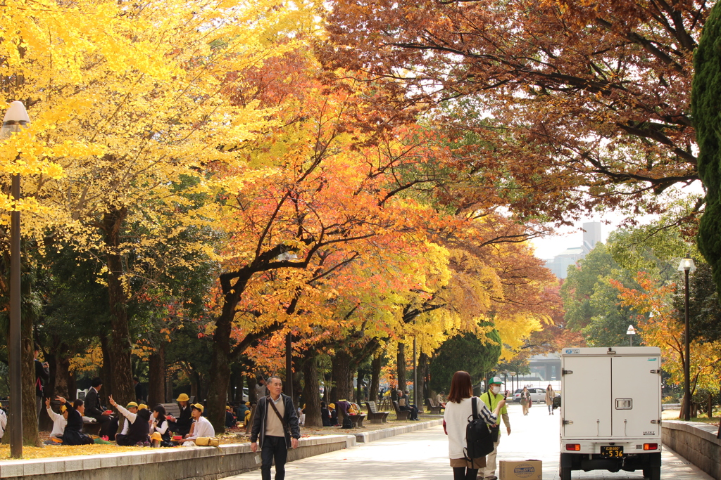 紅葉