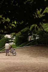 お散歩中
