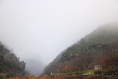 霧の町