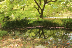 水辺