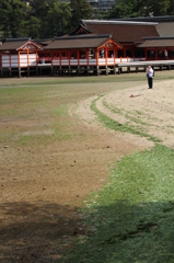 えすのじ