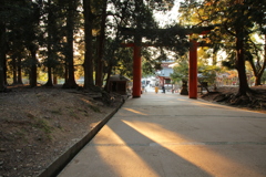 手向山八幡宮