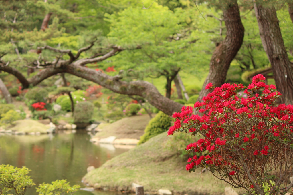 縮景園
