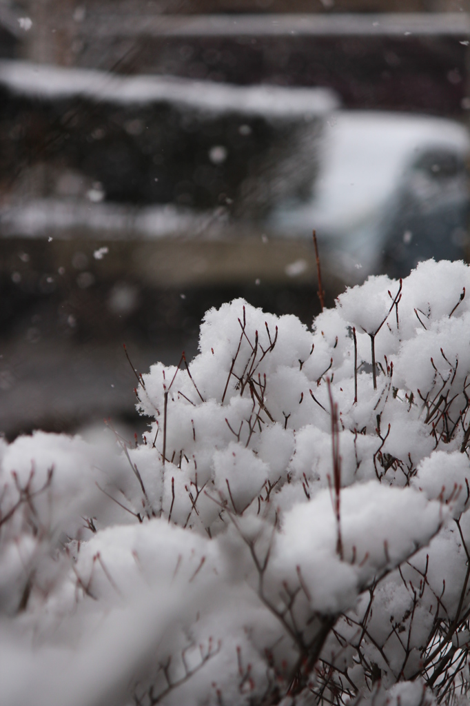 3月の雪の日