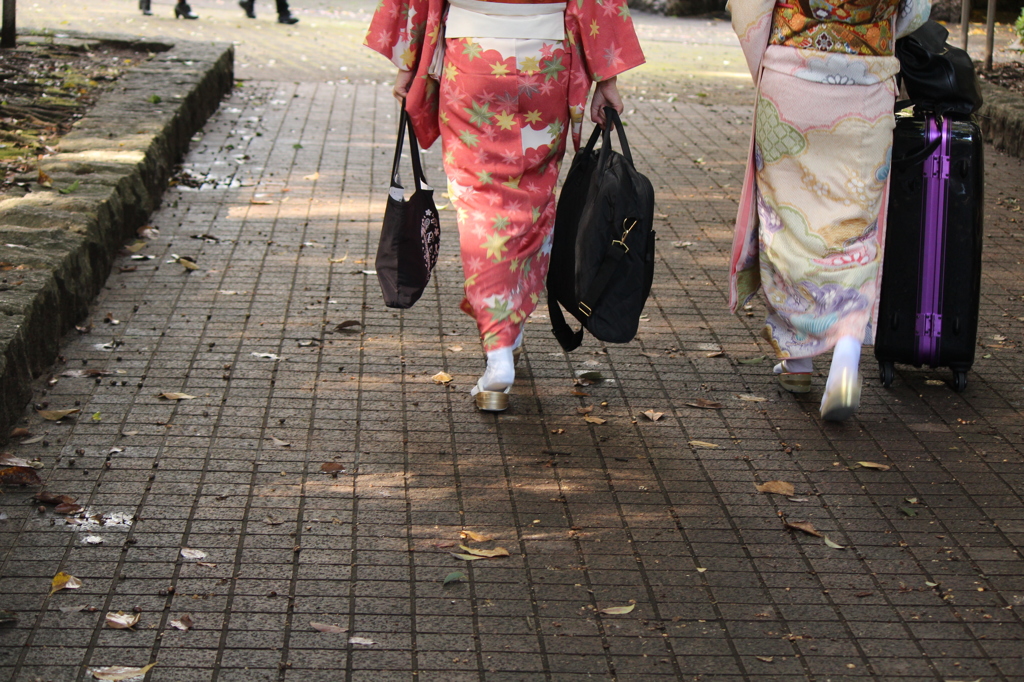 季節だなあ。