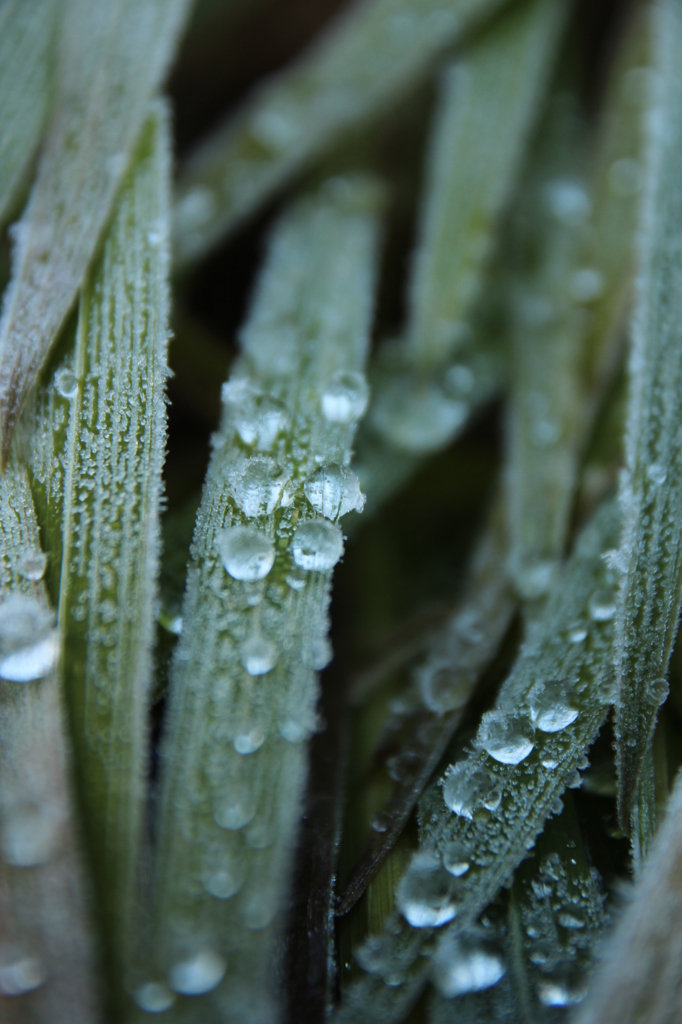 なにもかも凍って