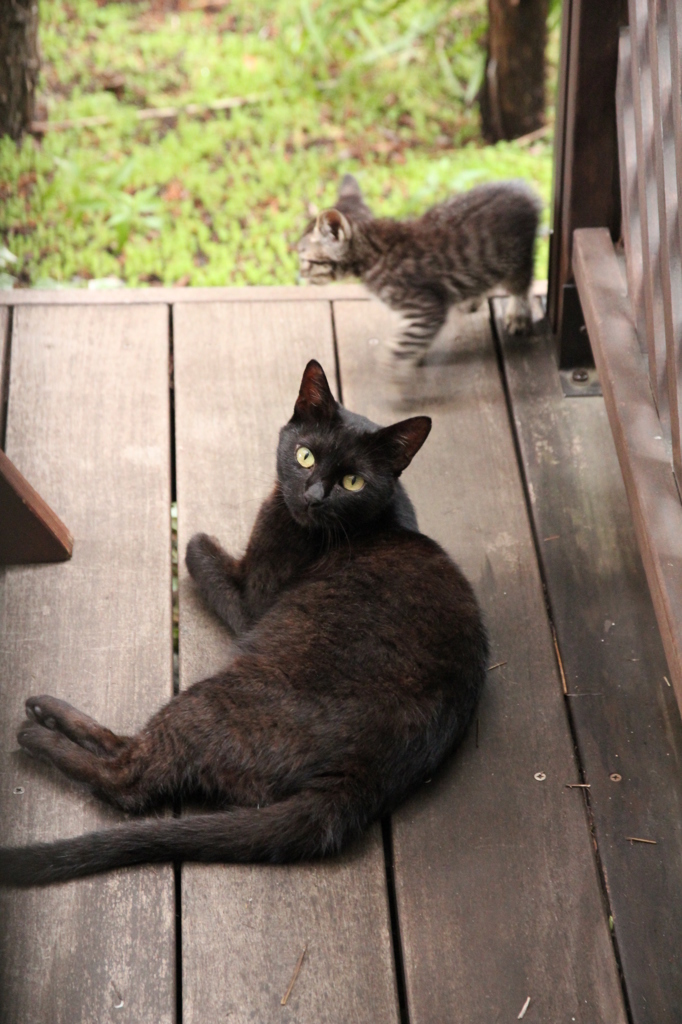 おやこ