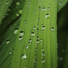 雨の日