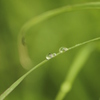 雨上がり