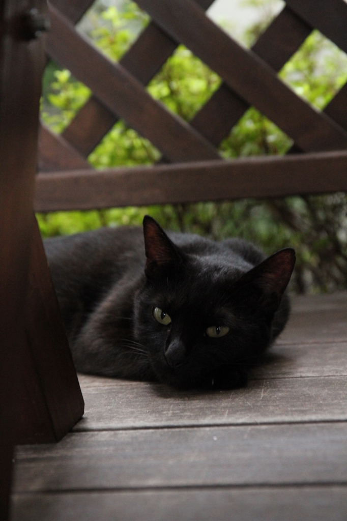 おかあさん。だいじょうぶ？