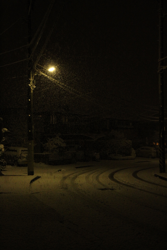 しんしんと降ってきた