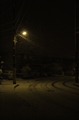 しんしんと降ってきた