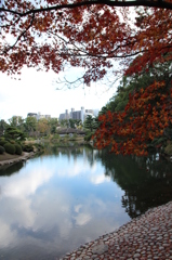 少し紅葉＠縮景園