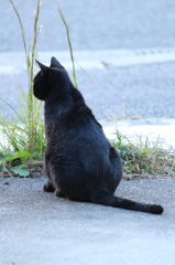 今日もごくろうさま 今日もごくろうさま