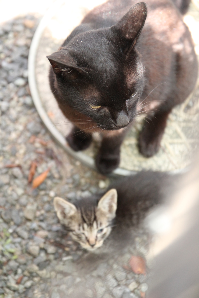 おかあさんとこども