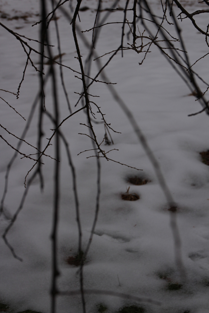 雪