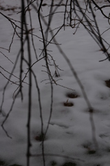雪