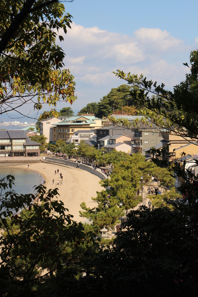 浜