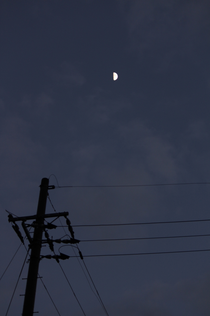おつきさま