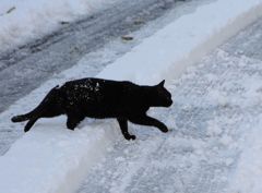 雪の日のおかあさん　7