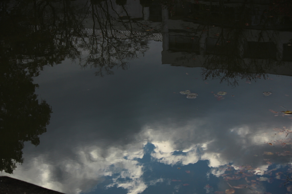 冬空