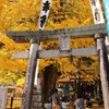 大銀杏