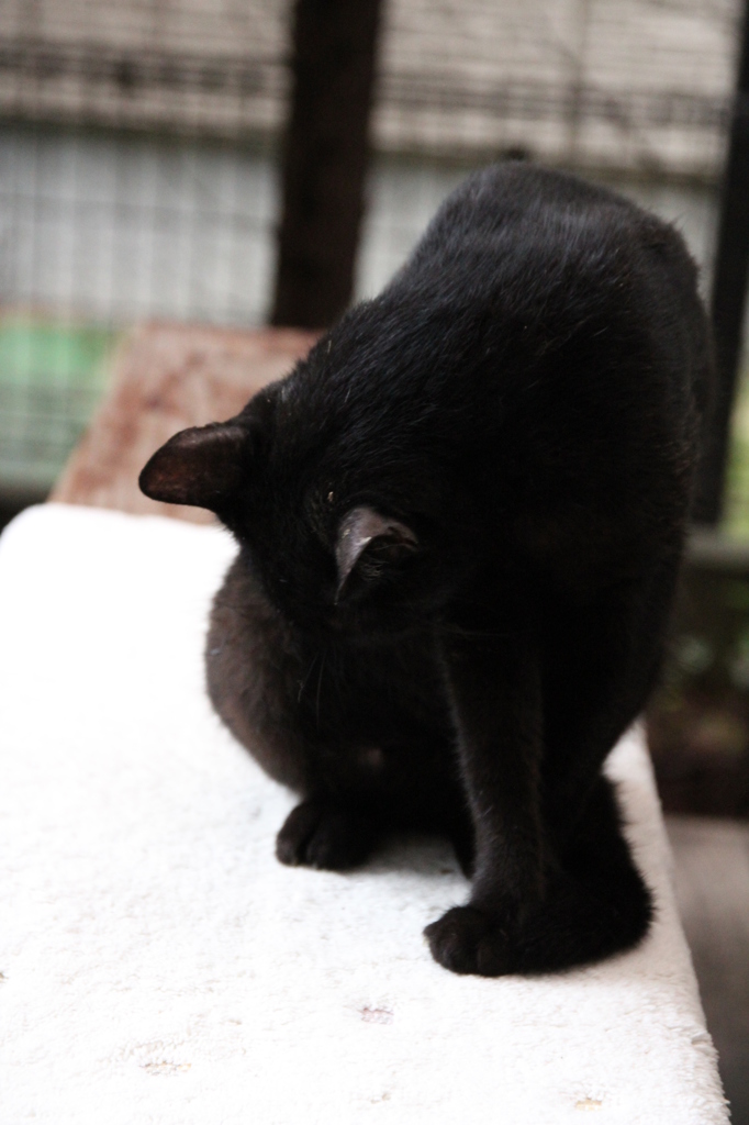 あ。おかあさん