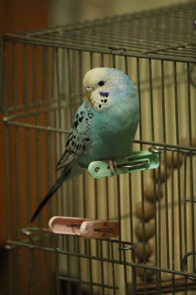 そら