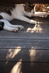 ほっといて。