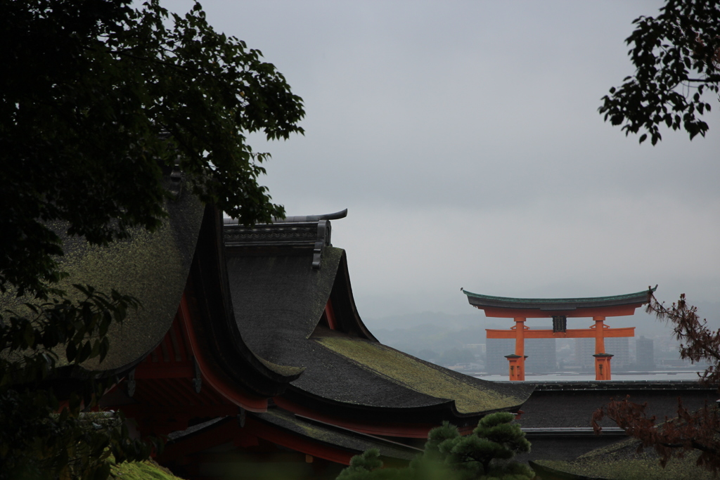 鳥居も見える。