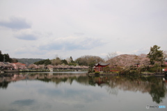 上野公園