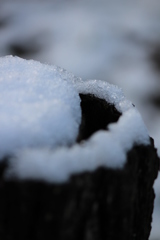 初雪
