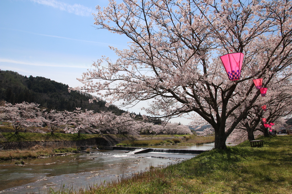 千本桜