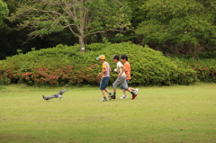 鳩と。