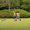 鳩と。