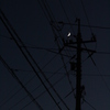 三日月
