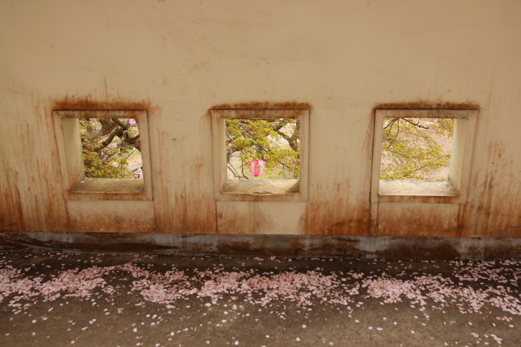 展望台