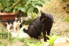 おやこ
