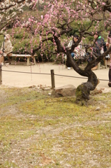 腰