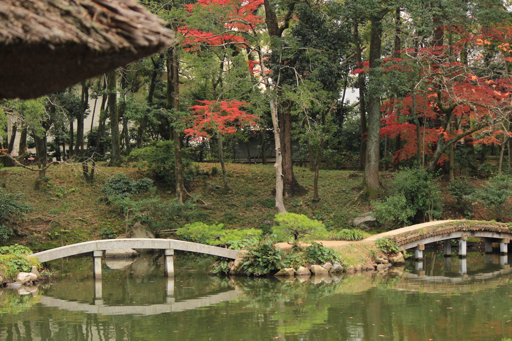 縮景園